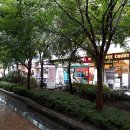 판교공인중개사사무소 이미지