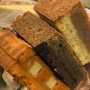 학동 애견 이미지