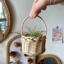 이오난사 미니라탄바구니 이미지