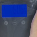 비움 | 산후 다이어트 내돈내산 푸드올로지 톡스올로지 클렌즈 비움 3일후기