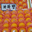 모드락농원 - 17472 | 모드락농원