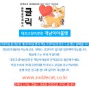 심쿵냥 고양이분양 이미지