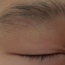 홍삼둥지