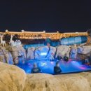 제천온천관광지 이미지