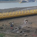 비토섬마린블루펜션 이미지