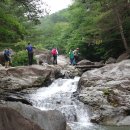 백운계곡둘레길 이미지