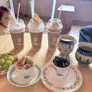 모도상회 | 진도 쏠비치 근처 감성카페 모도상회, 가족여행 중 딱 좋은 곳