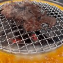 돗배갈매기