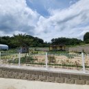 양평산수유부동산중개사무소 이미지