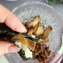 제이에스기업주식회사 | 완도산활전복 전복장 솔직후기｜간단 밥반찬인데 건강맛집 수준! 가정식반찬·반찬추천