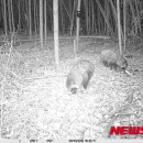 태화강 철새공원 이미지