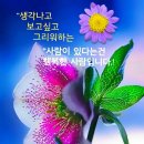 이춘식농장 이미지