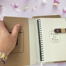 브라운스프링 이미지