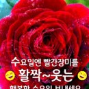 수요일 - 종로구 인사동길 36 | 수요일