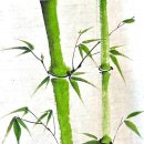 사군자 대나무 이미지