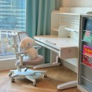 신장_어린이4호(새희망) | 초등 입학 선물 | 아이엔지홈 위키드 각도 조절 책상, 설치부터 실사용 찐 후기 (feat. 거북목 탈출)