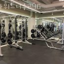 스타휘트니스 246 이미지