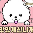 맛있개신나개 이미지