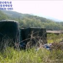 텃골천 이미지