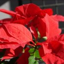 아이사랑방 이미지