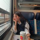 수지장갑 이미지