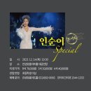 인순이 스페셜 콘서트 이미지