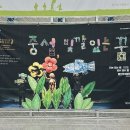 중섭, 빛깔 있는 꿈 이미지