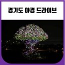 경기도 야경 드라이브 추천 (파주 수풀누리 공원)