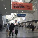 빈스마운틴 | 2026 벡스코 부산 카페쇼 방문후기 제가 뭘 샀냐면요