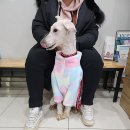 효원동물병원 이미지