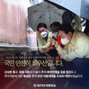 올 여름 서울 폭우, 포항 태풍 힌남노 피해 당시 우리나라 상황 이미지