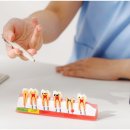 일산스타28치과의원 이미지