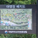 평창 두타산 자연휴양림 캠핑 / 8월 한여름 캠핑 / 101번 명당데크 후기