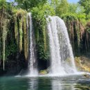 지중해아침2 이미지