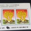 싸리목장 이미지