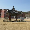 고령초등학교 티스토리