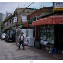 명랑소리사 이미지