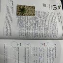 맨투맨영수학원