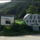 호3통 이미지
