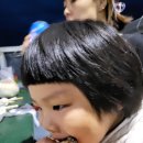 설이네바다펜션 이미지