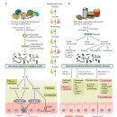 D00875 | [Seminar] Understanding microbiome for human health and disease