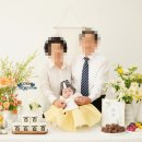 오브제293