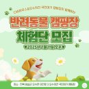 오수펫하우스 네이버블로그