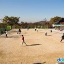 황송공원 (체육시설) 이미지