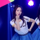 노크 CLC 이미지