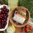 피크니크 이미지