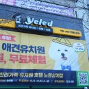 신상계초교 | 옐레드 노원상계점 오픈 후기｜소형견 전문 상계동 강아지유치원｜세심함이 돋보이는 상계동 강아지호텔