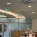 씨2지사천센터 | 거제 웰차이나 후기 ㅣ 가족 외식 추천
