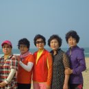 추억 - 강릉시 주문로 137-1 | 추억