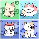 나의 반짝 그루밍 티스토리